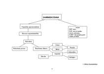 Referāts 'Mikroekonomikas shēmas', 4.