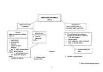 Referāts 'Mikroekonomikas shēmas', 9.