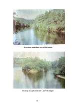 Referāts 'Gauja', 17.