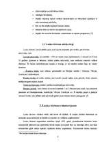 Referāts 'Lauku tūrisma pakalpojumu mārketings Daugavpils rajonā', 9.