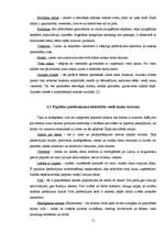 Referāts 'Lauku tūrisma pakalpojumu mārketings Daugavpils rajonā', 11.