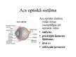 Prezentācija 'Acs kā optiskā sistēma (shematiskā acs)', 2.