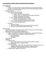 Paraugs 'ANATOMIJA; ĶERMEŅA UZBŪVES PAMATPRINCIPI 
Atbildes anatomijas eksāmenam', 4.