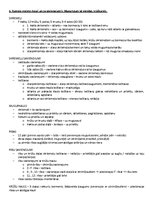 Paraugs 'ANATOMIJA; ĶERMEŅA UZBŪVES PAMATPRINCIPI 
Atbildes anatomijas eksāmenam', 5.