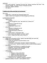 Paraugs 'ANATOMIJA; ĶERMEŅA UZBŪVES PAMATPRINCIPI 
Atbildes anatomijas eksāmenam', 6.