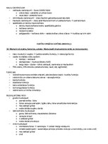 Paraugs 'ANATOMIJA; ĶERMEŅA UZBŪVES PAMATPRINCIPI 
Atbildes anatomijas eksāmenam', 9.