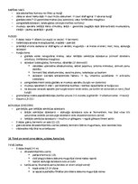 Paraugs 'ANATOMIJA; ĶERMEŅA UZBŪVES PAMATPRINCIPI 
Atbildes anatomijas eksāmenam', 17.