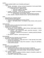 Paraugs 'ANATOMIJA; ĶERMEŅA UZBŪVES PAMATPRINCIPI 
Atbildes anatomijas eksāmenam', 42.