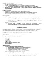 Paraugs 'ANATOMIJA; ĶERMEŅA UZBŪVES PAMATPRINCIPI 
Atbildes anatomijas eksāmenam', 43.