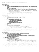 Paraugs 'ANATOMIJA; ĶERMEŅA UZBŪVES PAMATPRINCIPI 
Atbildes anatomijas eksāmenam', 45.