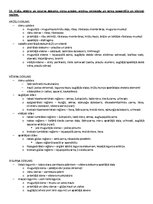 Paraugs 'ANATOMIJA; ĶERMEŅA UZBŪVES PAMATPRINCIPI 
Atbildes anatomijas eksāmenam', 47.