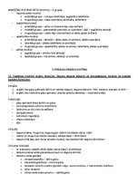 Paraugs 'Ķermeņa uzbūves pamatprincipi', 12.