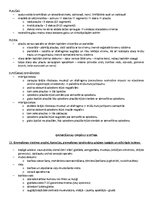 Paraugs 'Ķermeņa uzbūves pamatprincipi', 14.