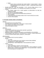 Paraugs 'Ķermeņa uzbūves pamatprincipi', 20.