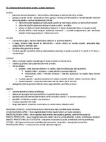 Paraugs 'Ķermeņa uzbūves pamatprincipi', 22.