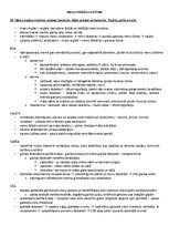 Paraugs 'Ķermeņa uzbūves pamatprincipi', 23.