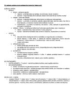 Paraugs 'Ķermeņa uzbūves pamatprincipi', 24.