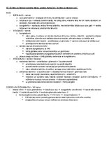 Paraugs 'Ķermeņa uzbūves pamatprincipi', 25.