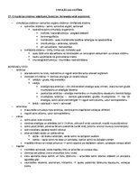 Paraugs 'Ķermeņa uzbūves pamatprincipi', 26.