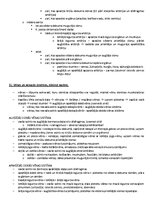 Paraugs 'Ķermeņa uzbūves pamatprincipi', 29.