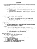 Paraugs 'Ķermeņa uzbūves pamatprincipi', 31.