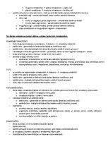 Paraugs 'Ķermeņa uzbūves pamatprincipi', 33.