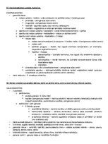 Paraugs 'Ķermeņa uzbūves pamatprincipi', 34.