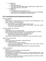 Paraugs 'Ķermeņa uzbūves pamatprincipi', 38.