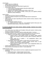 Paraugs 'Ķermeņa uzbūves pamatprincipi', 40.