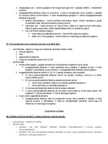 Paraugs 'Ķermeņa uzbūves pamatprincipi', 41.