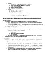 Paraugs 'Ķermeņa uzbūves pamatprincipi', 48.