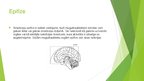 Prezentācija 'Humorālā regulācija dzīvniekiem', 10.