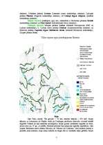 Referāts 'Latvijas upju un ezeru piesārņošana', 7.