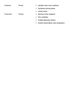 Konspekts 'Ideoloģijas 19. un 20.gadsimta mijā', 2.