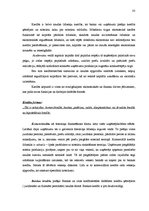 Diplomdarbs 'Kredītpolitikas organizēšana komercbankās', 33.