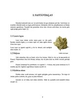 Konspekts 'Itāļu nacionālā virtuve', 6.