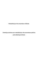 Referāts 'Multiplikācijas tēlu izmantošana reklāmās', 1.