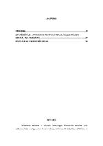 Referāts 'Multiplikācijas tēlu izmantošana reklāmās', 2.