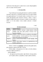 Referāts 'Multiplikācijas tēlu izmantošana reklāmās', 6.