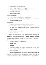 Referāts 'Multiplikācijas tēlu izmantošana reklāmās', 7.