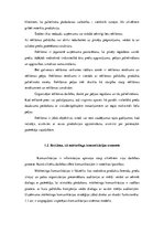 Referāts 'Multiplikācijas tēlu izmantošana reklāmās', 8.