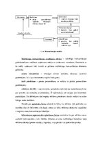 Referāts 'Multiplikācijas tēlu izmantošana reklāmās', 9.