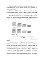 Referāts 'Multiplikācijas tēlu izmantošana reklāmās', 10.