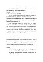 Referāts 'Multiplikācijas tēlu izmantošana reklāmās', 11.