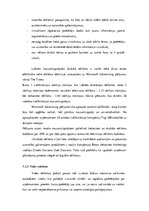 Referāts 'Multiplikācijas tēlu izmantošana reklāmās', 13.