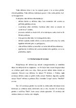 Referāts 'Multiplikācijas tēlu izmantošana reklāmās', 14.