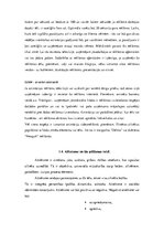 Referāts 'Multiplikācijas tēlu izmantošana reklāmās', 16.