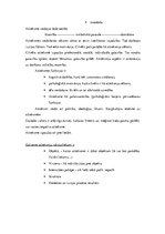 Referāts 'Multiplikācijas tēlu izmantošana reklāmās', 17.