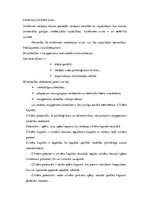 Referāts 'Multiplikācijas tēlu izmantošana reklāmās', 18.