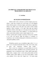 Referāts 'Multiplikācijas tēlu izmantošana reklāmās', 20.